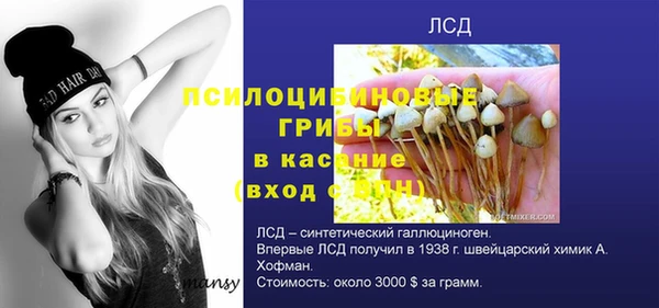 ешки Богородск