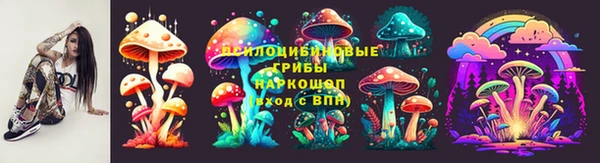 твердый Богданович