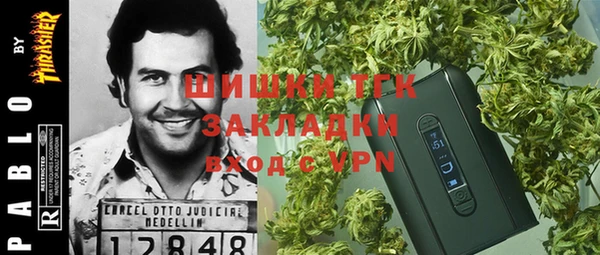 твердый Богданович