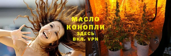 твердый Богданович