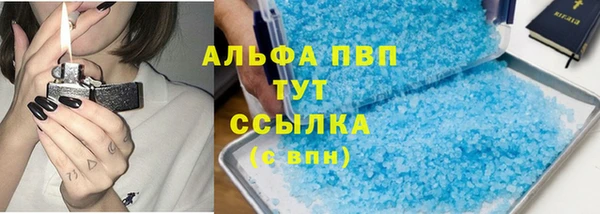 твердый Богданович