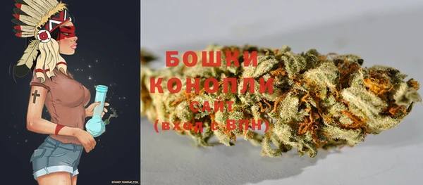 твердый Богданович